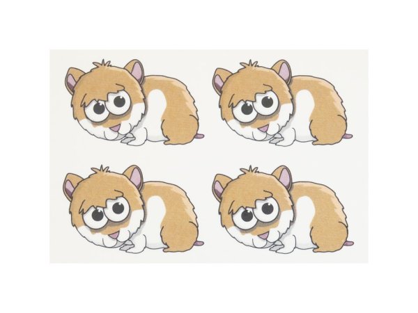 画像1: A57449-Z22 (1)