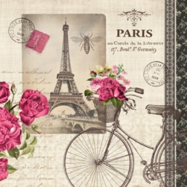 画像1: 【ナプキン】 Velo Parisien (1)