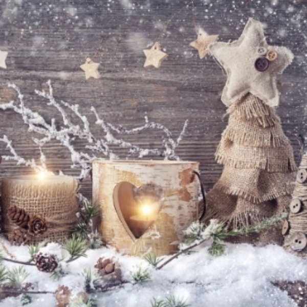 画像1: 【ナプキン】 NATURAL X-MAS (1)
