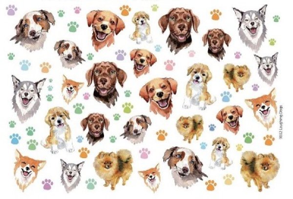 画像1: Laughing Dogs (1)