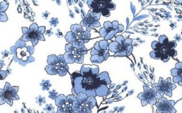 画像1: Tiguc Blue2 (A4) (1)