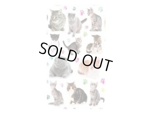 画像1: CATS (1)