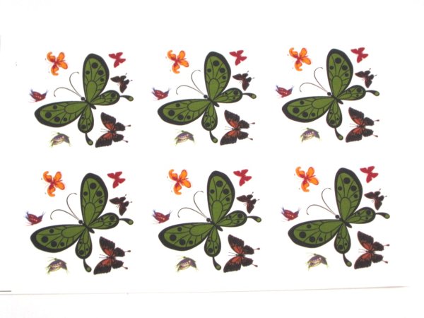 画像1: HEART OF BUTTERFLIES (1)
