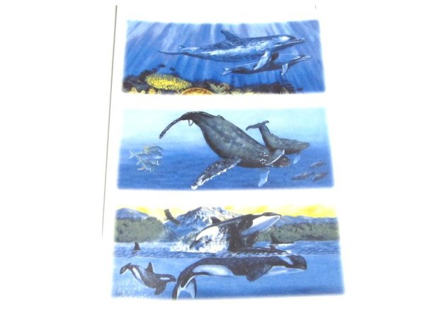 画像1: SEA WORLD MUG (1)