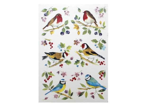 画像1: BIRDS (1)