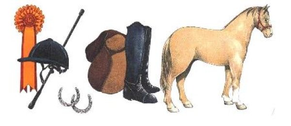 画像1: HORSE RIDING (1)