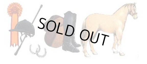 画像1: HORSE RIDING (1)