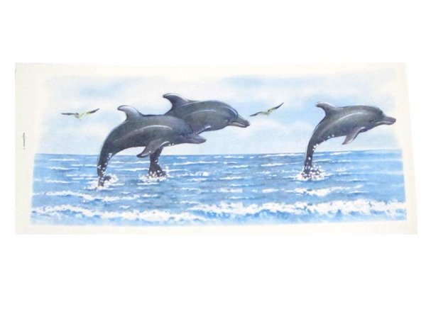 画像1: DOLPHIN (1)