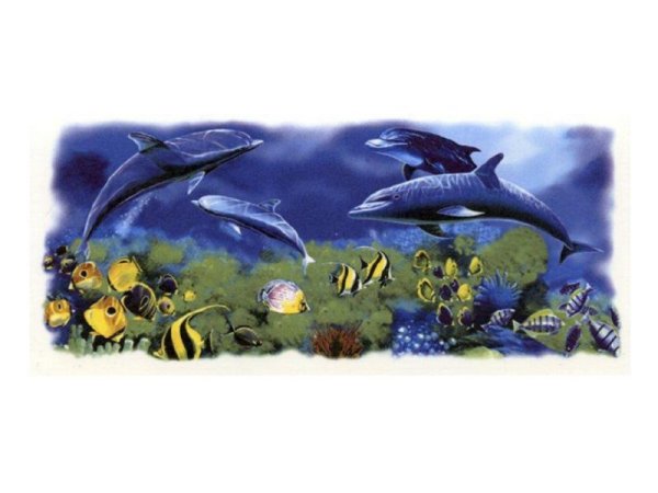画像1: SEA WORLD MUG (1)