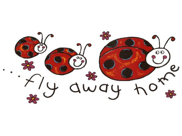 画像1: LADY BIRD 197x87mm (1)