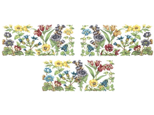 画像1: ALPINE TAPESTRY (1)