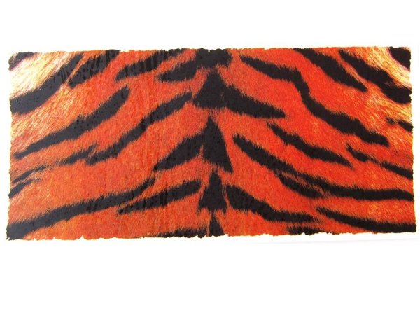 画像1: TIGER (1)