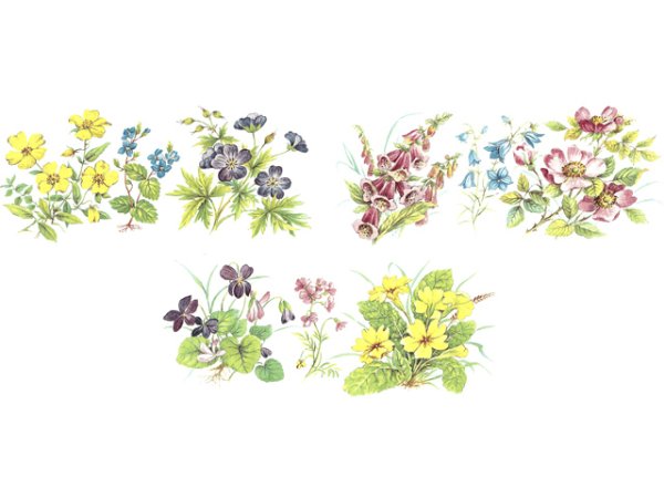 画像1: COUNTRY SIDE (1)