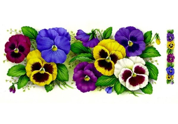 画像1: PANSY MUGWRAP (1)