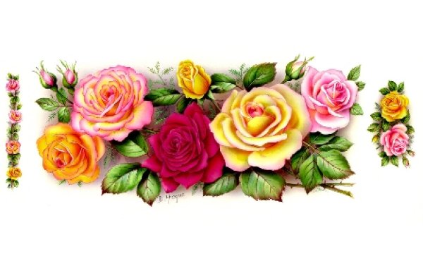 画像1: ENGLISH ROSE MUGWRAP (1)