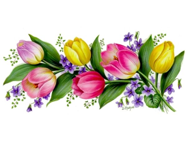 画像1: TULIP MUGWRAP (1)