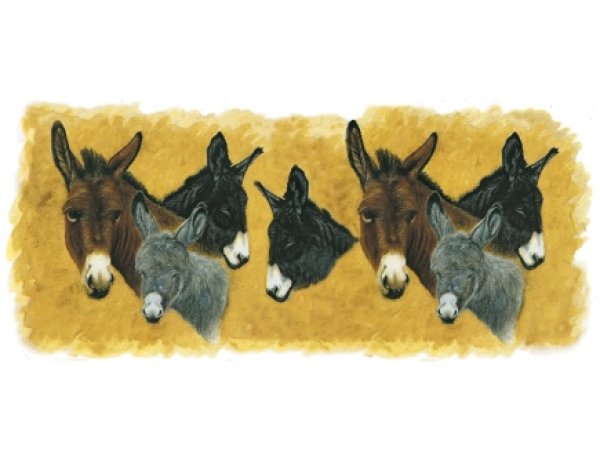 画像1: DONKEYS MUG (1)