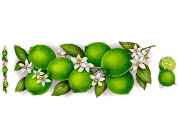 画像1: LIMES (1)