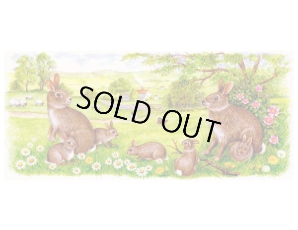 画像1: WILD RABBITS MUG (1)