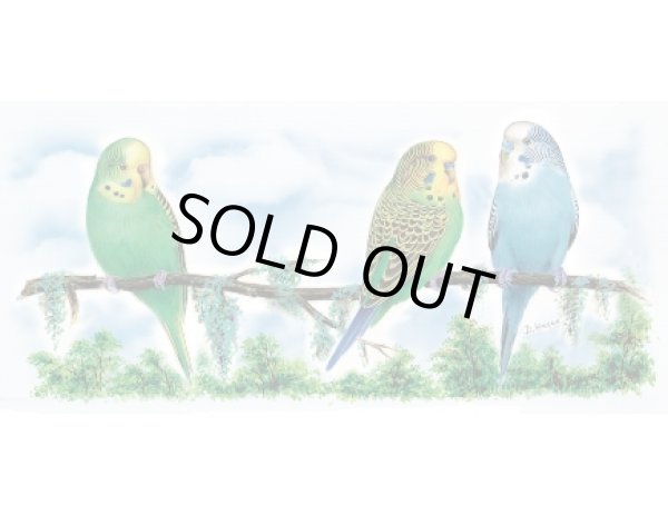 画像1: GREEN & BLUE BUDGIES MUG (1)