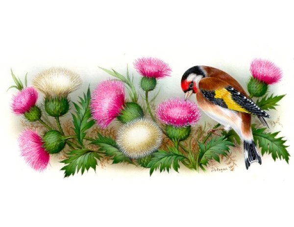 画像1: GOLDFINCH MUG (1)