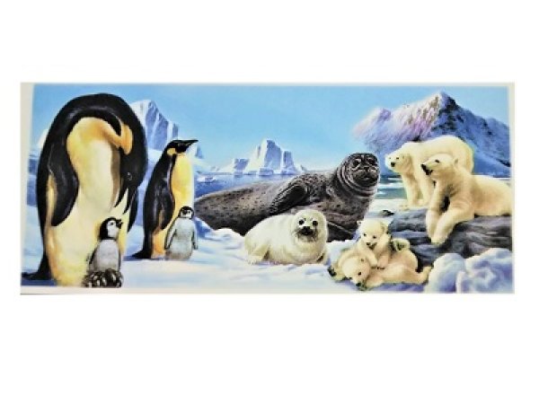 画像1: POLAR REGION (1)