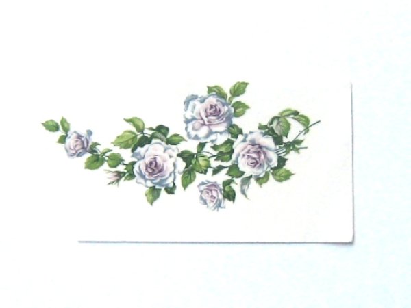 画像1: ROSE (1)