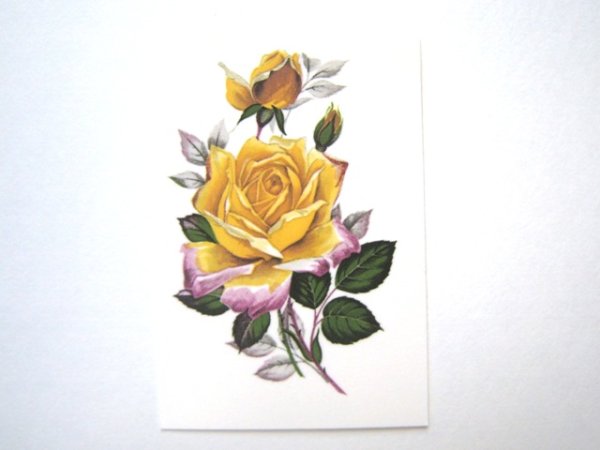 画像1: PEACE ROSE (1)
