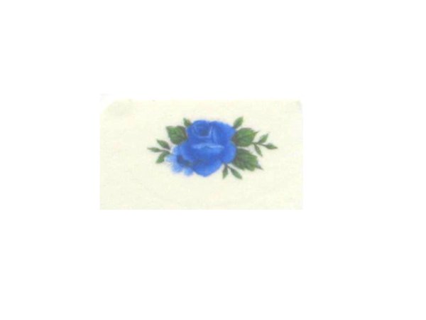 画像1: BLUE ROSES (1)