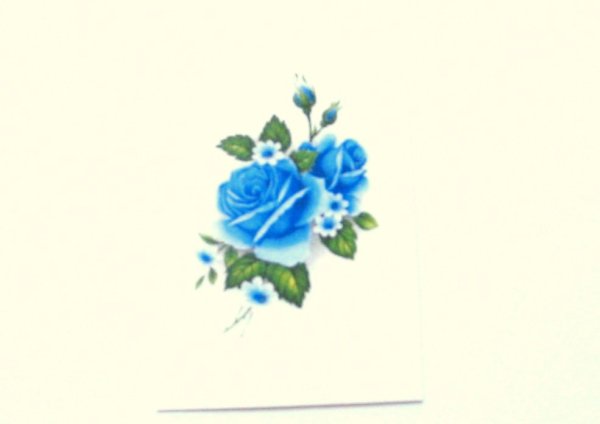 画像1: BLUE ROSES (1)