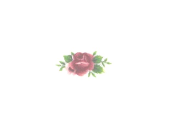 画像1: PINK ROSES (1)