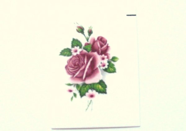 画像1: PINK ROSES (1)