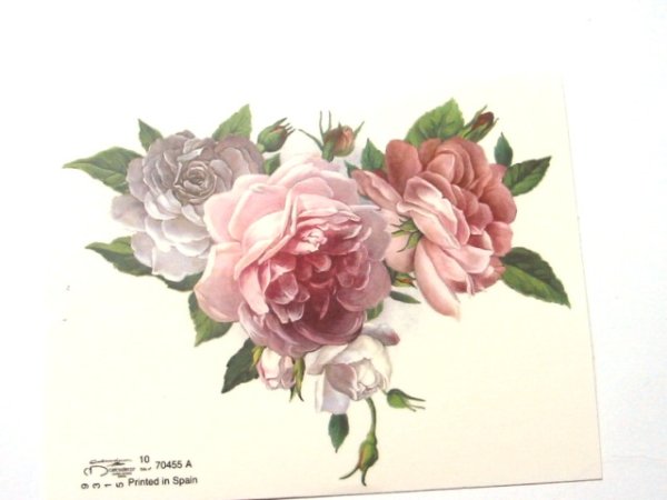 画像1: ROSE (1)