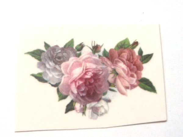画像1: ROSE (1)