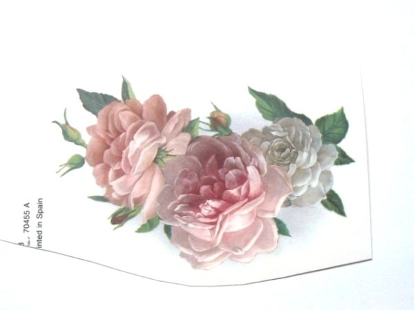 画像1: ROSE (1)