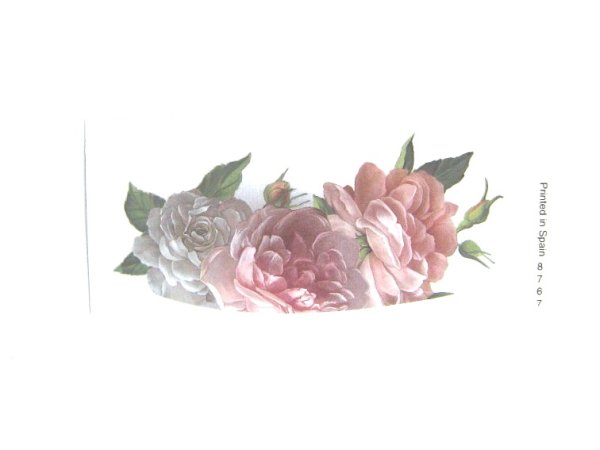 画像1: ROSE (1)
