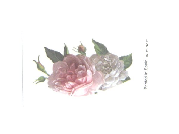 画像1: ROSE (1)