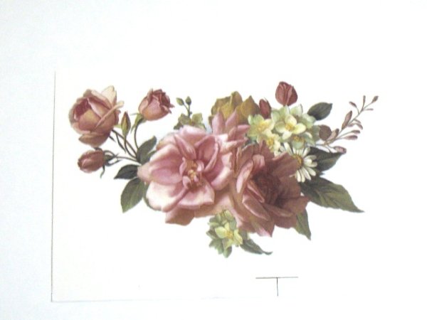 画像1: MIREN (1)