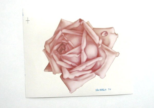 画像1: PINK ROSE (1)