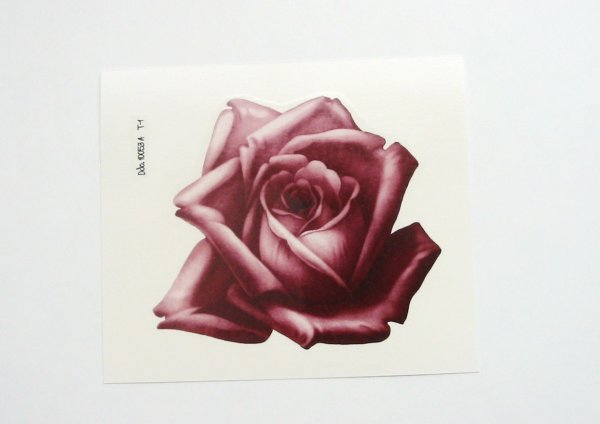 画像1: RED ROSE (1)