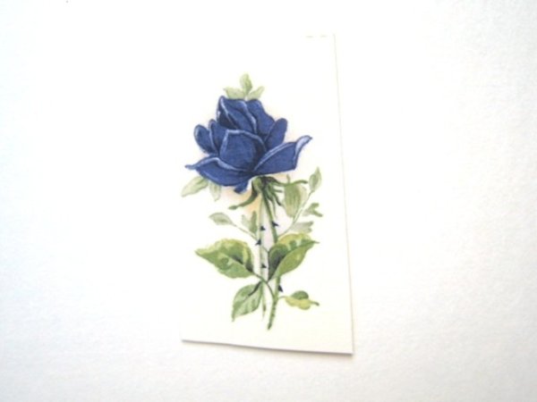 画像1: MOONLIGHT ROSE (1)