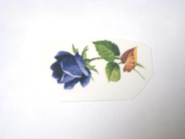 画像1: SUMMER BLOOM BLUE (1)