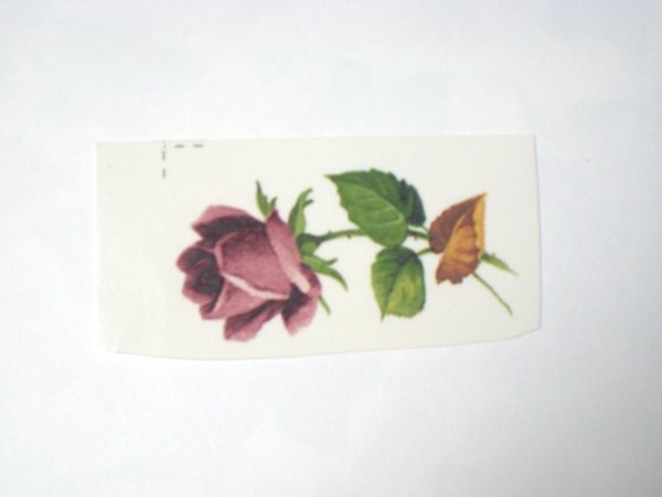 画像1: SUMMER BLOOM PINK (1)