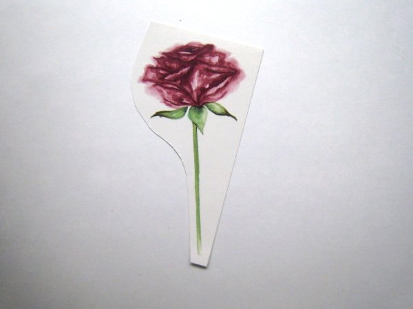 画像1: PINK ROSE (1)