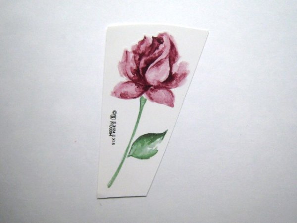画像1: PINK ROSE (1)