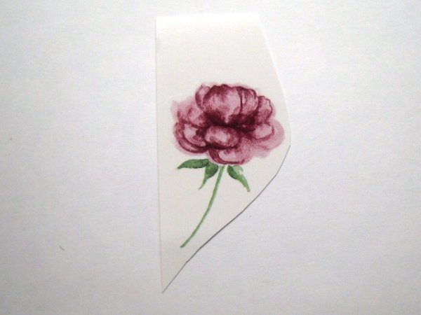 画像1: PINK ROSE (1)