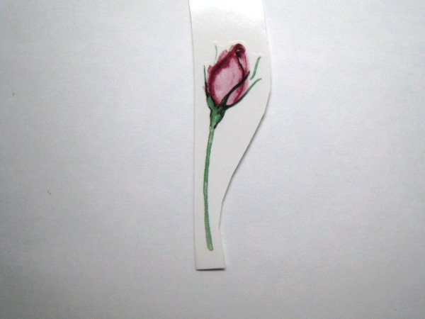 画像1: PINK ROSE (1)