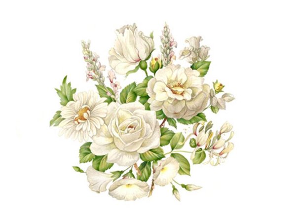 画像1: WHITE MIST (1)