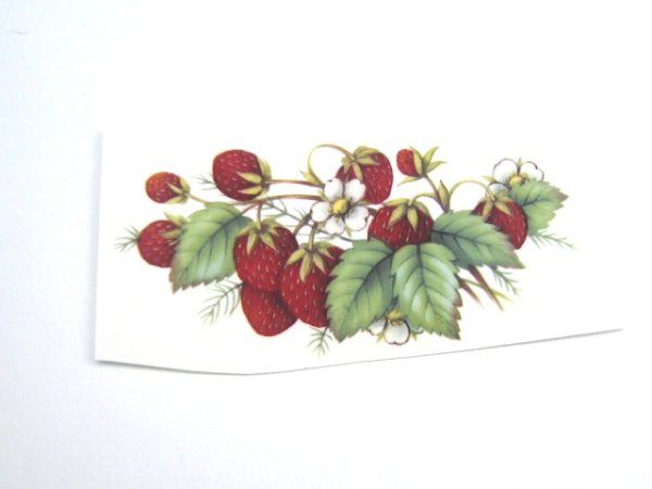 画像1: STRAWBERRIES (1)
