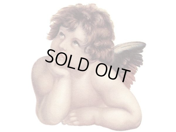 画像1: CHERUB C (1)